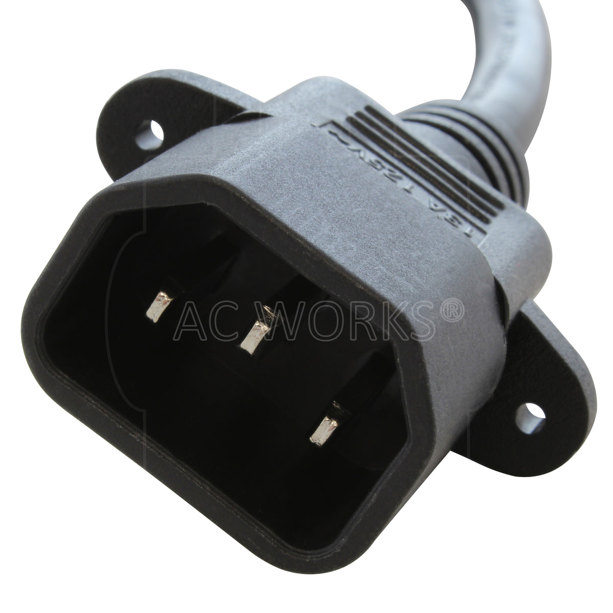 AC WORKS 1 ft. IEC C14/Sheet E IT Plug to IEC C13 Female Connector