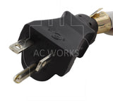 AC Works, NEMA 6-20P, 620 plug, t blade plug
