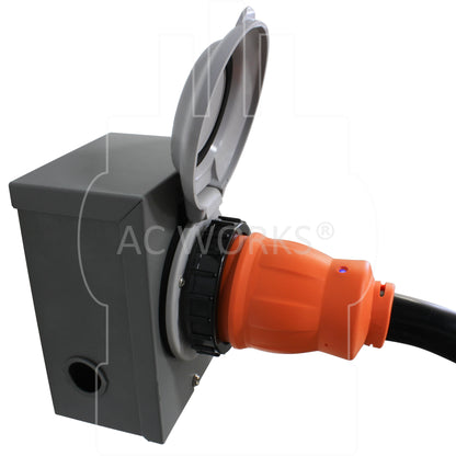 AC WORKS® [TE1450] 50A Generator Transfer Switch Power Cord With Power Indicator